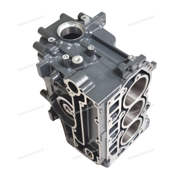 Блок цилиндров Yamaha F30B, F40F 6BG-15100-00