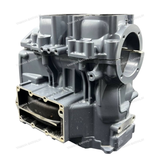Блок цилиндров с картером Yamaha 40X 66T-15100-02-1S