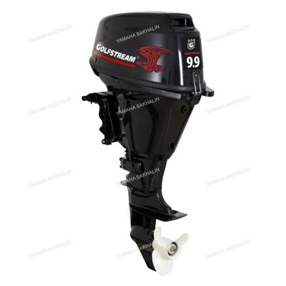 Лодочный мотор GOLFSTREAM F9.9AFWS-EFI ENDURO