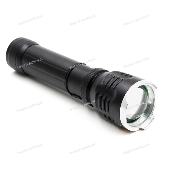 Фонарь ручной "СИБИРСКИЙ СЛЕДОПЫТ-Профи, 1L, zoom, аккум. 220B+12B, 3хААА