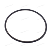 Кольцо уплотнительное Grizzly 300 1SC-G6134-00
