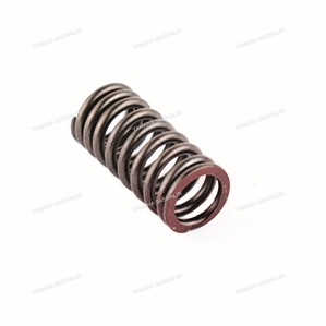 Пружина клапана выпуска Yamaha 010-033
