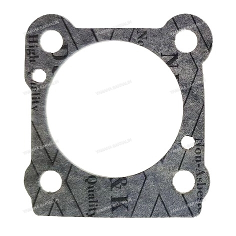 Прокладка корпуса помпы 6C, 8C, 8F 6G1-44315-A0