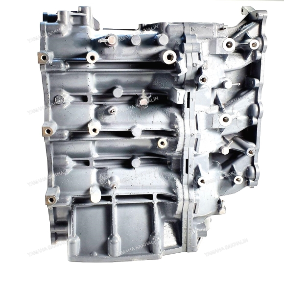 Блок цилиндров Yamaha 40V, 50H (EO, ETO) 6H4-15100-13