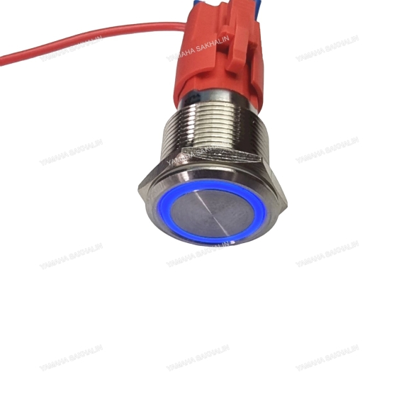 Выключатель с подсветкой (синяя) 12V SF54027-19B1-L