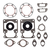 Прокладки, к-т полный Arctic Cat 500 Cheetah, 530 (Cheetah, El Tigre, EXT) 09-711063D