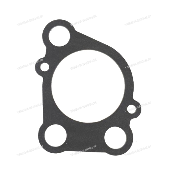 Прокладка корпуса помпы E8D 655-44315-A1