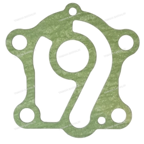 Прокладка пластины помпы 30-55 663-44324-A0