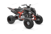 Квадроцикл Raptor 700R SE