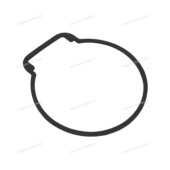 Прокладка поплавковой камеры 5D, E8D, 9.9D, 15D 677-14384-01